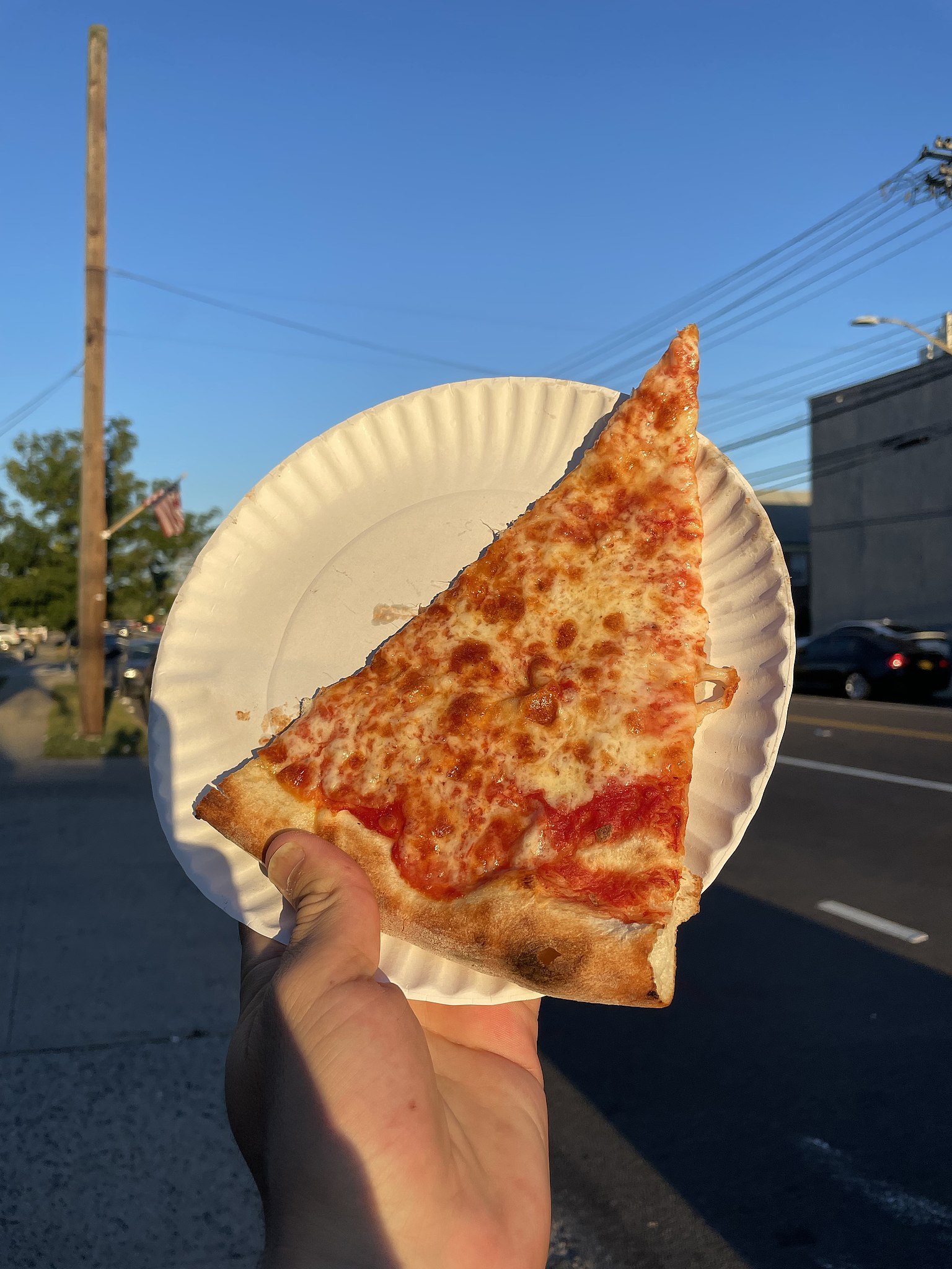 NYC Pizza