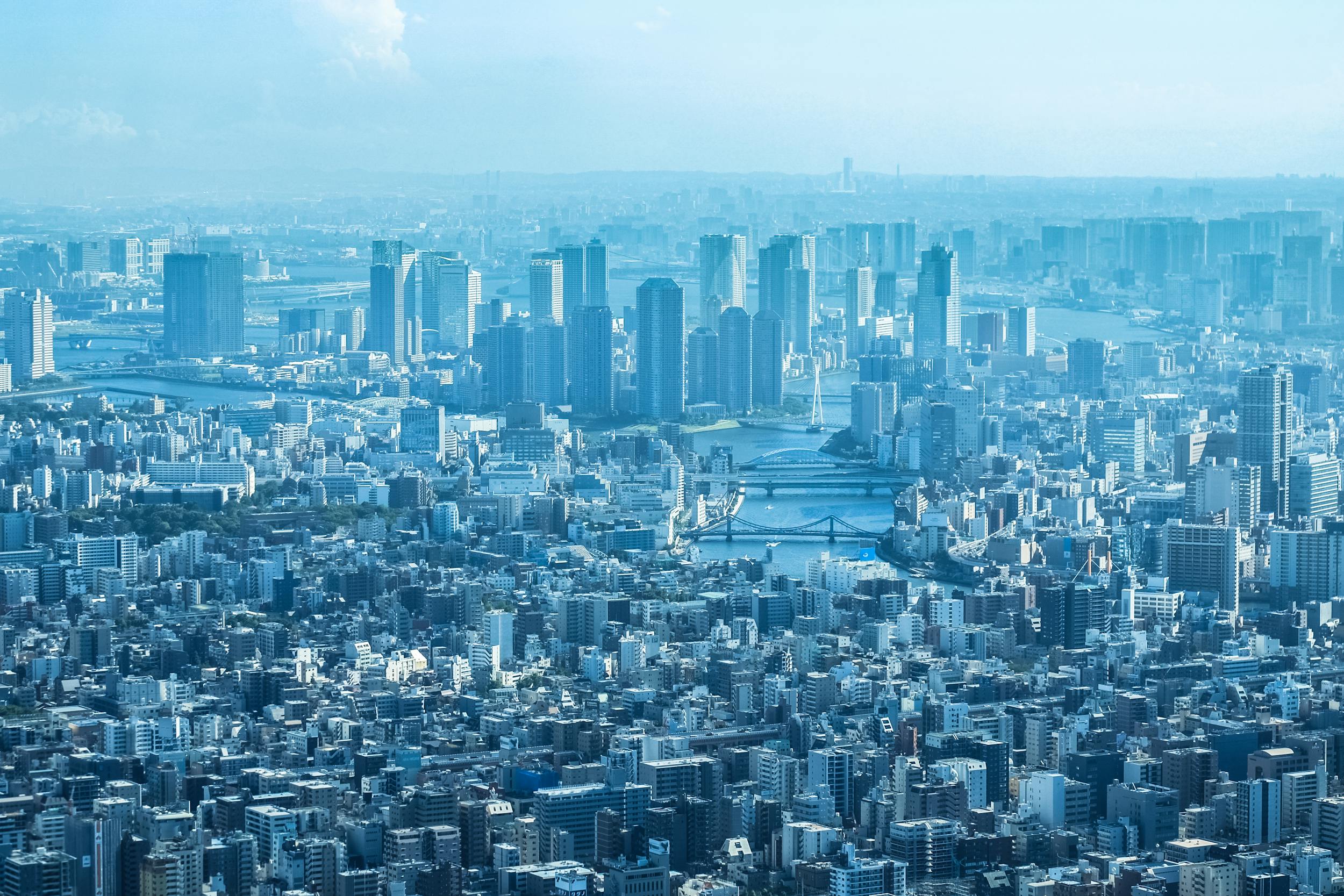 The 25 Best Things to Do in Tokyo