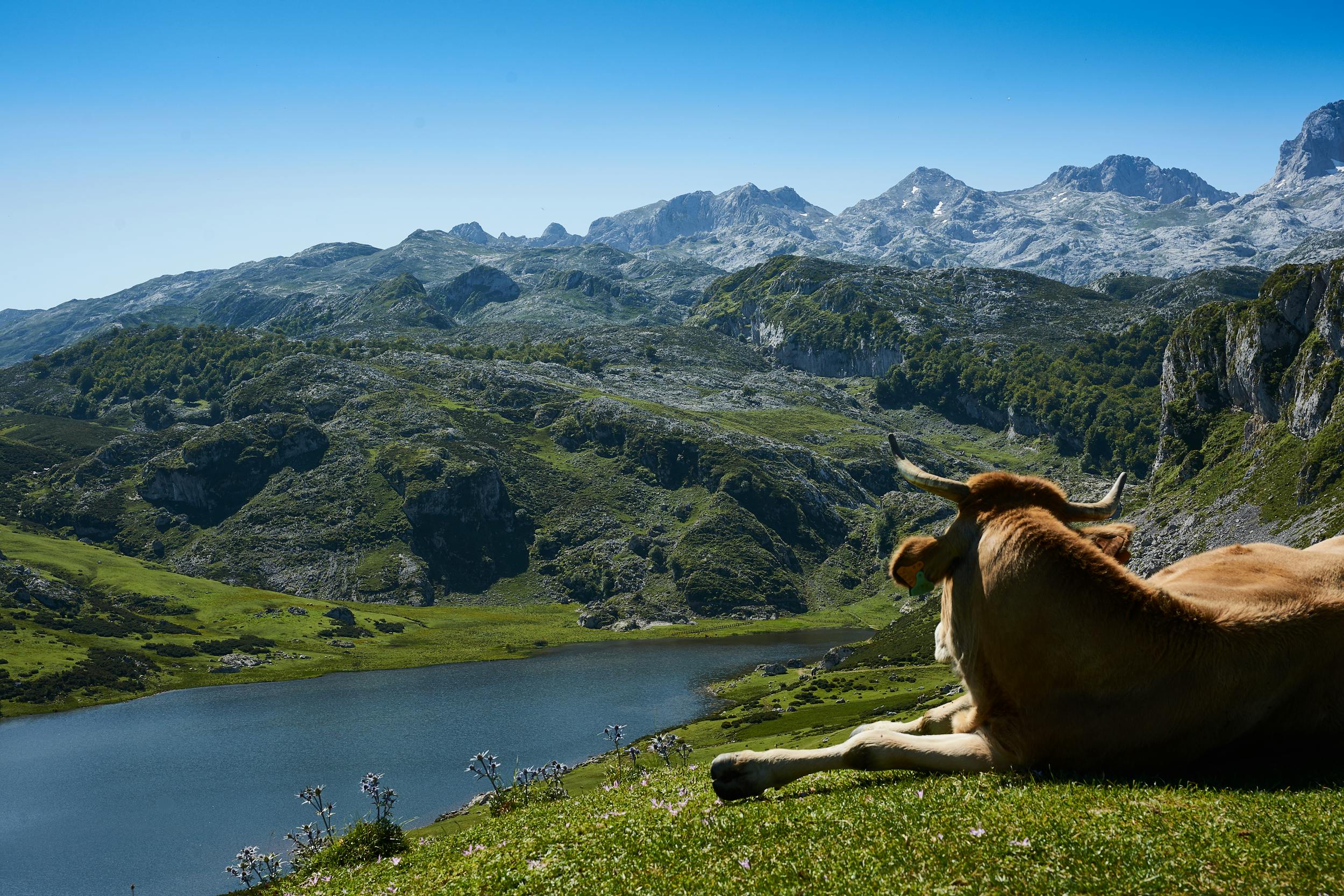 Asturias Region, Spain