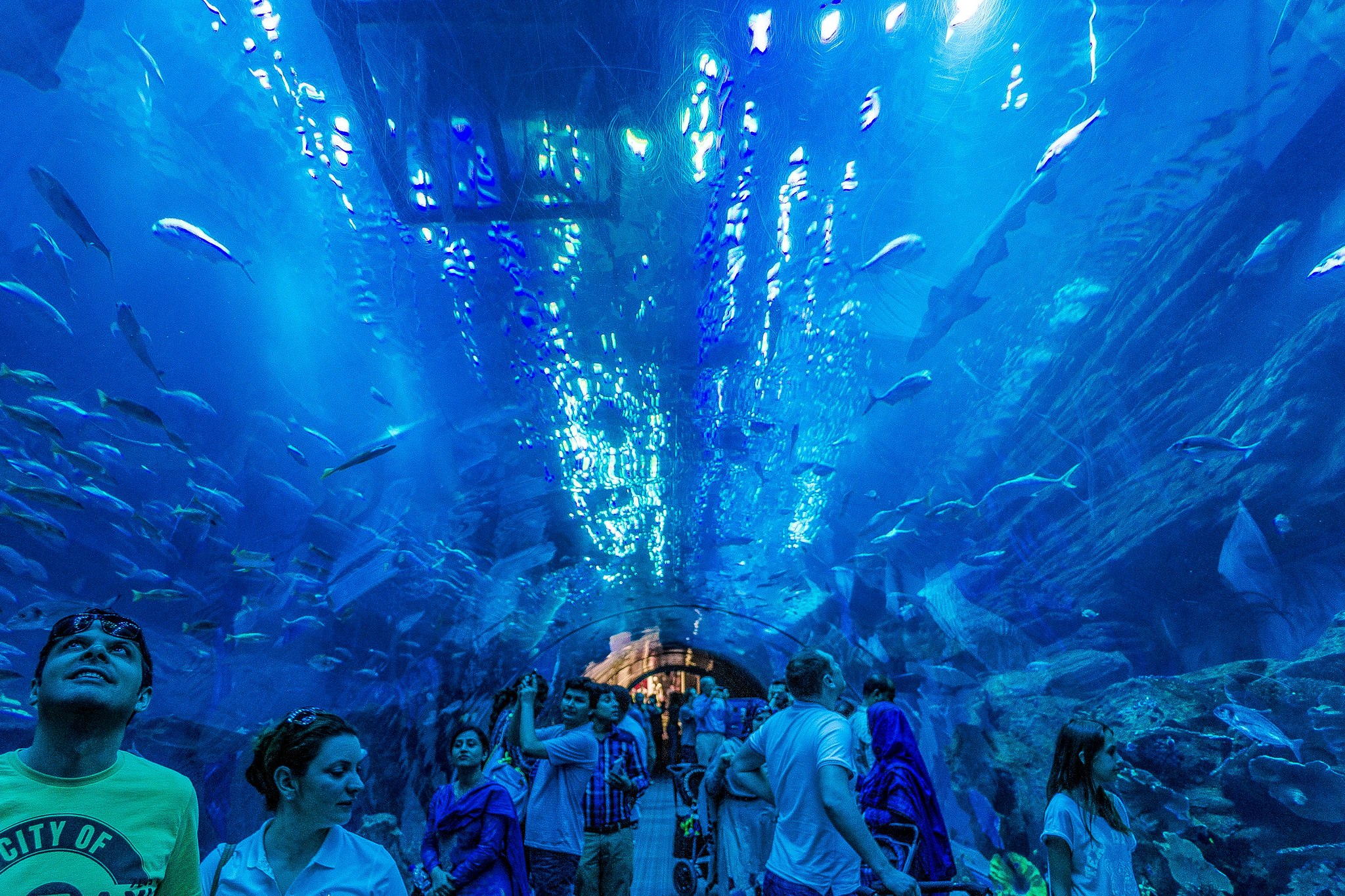 Dubai Aquarium and Underwater Zoo