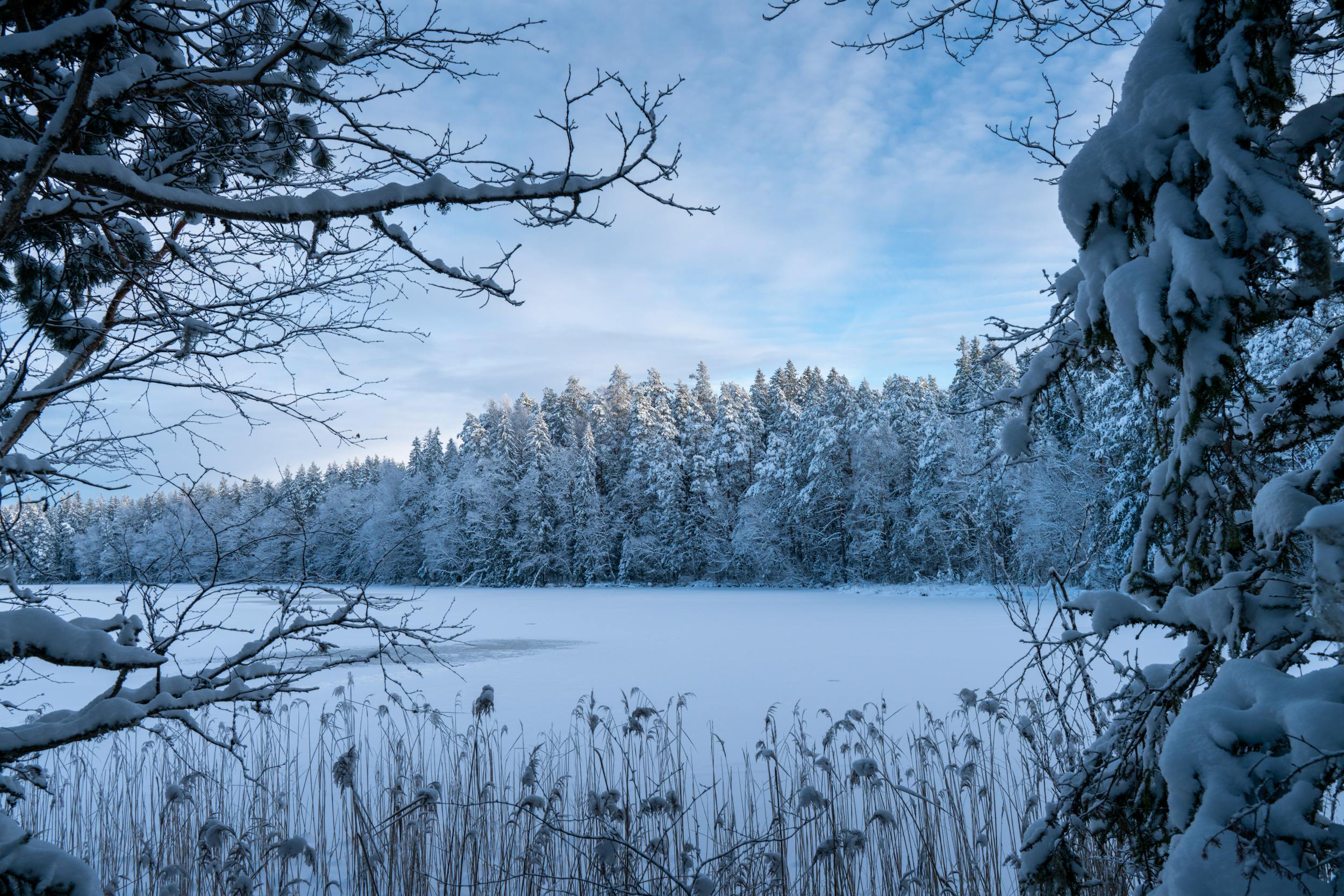 Estonia