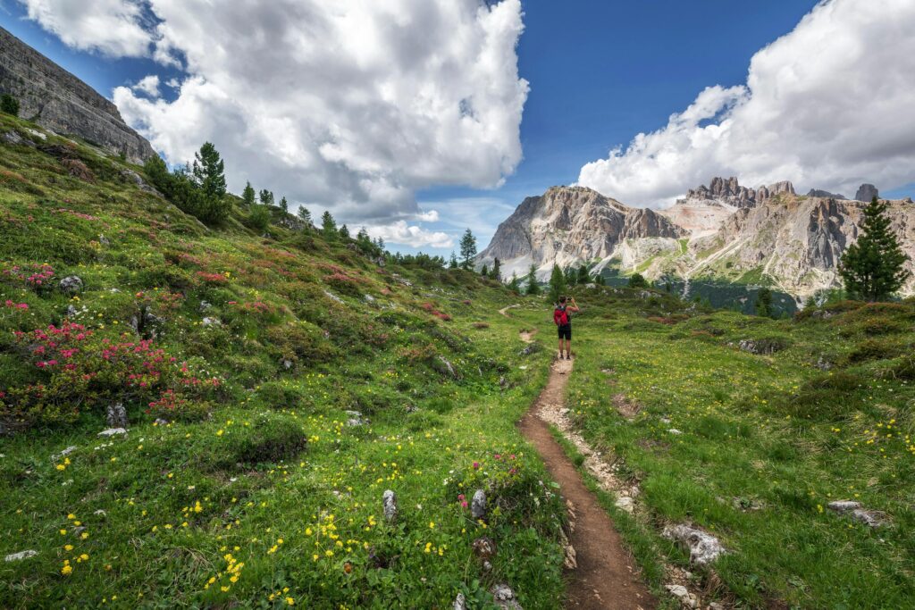 The 5 Best Hiking Spots in the Alps