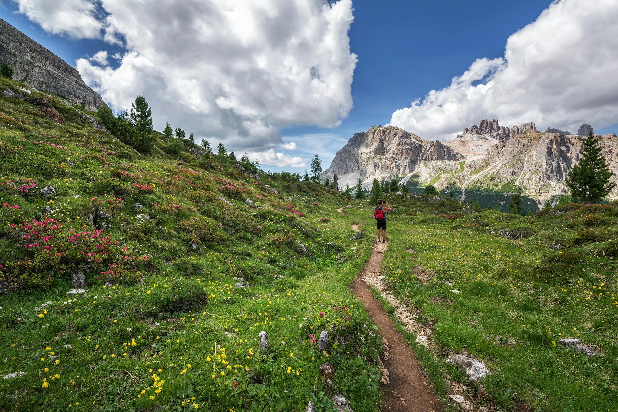 The 5 Best Hiking Spots in the Alps