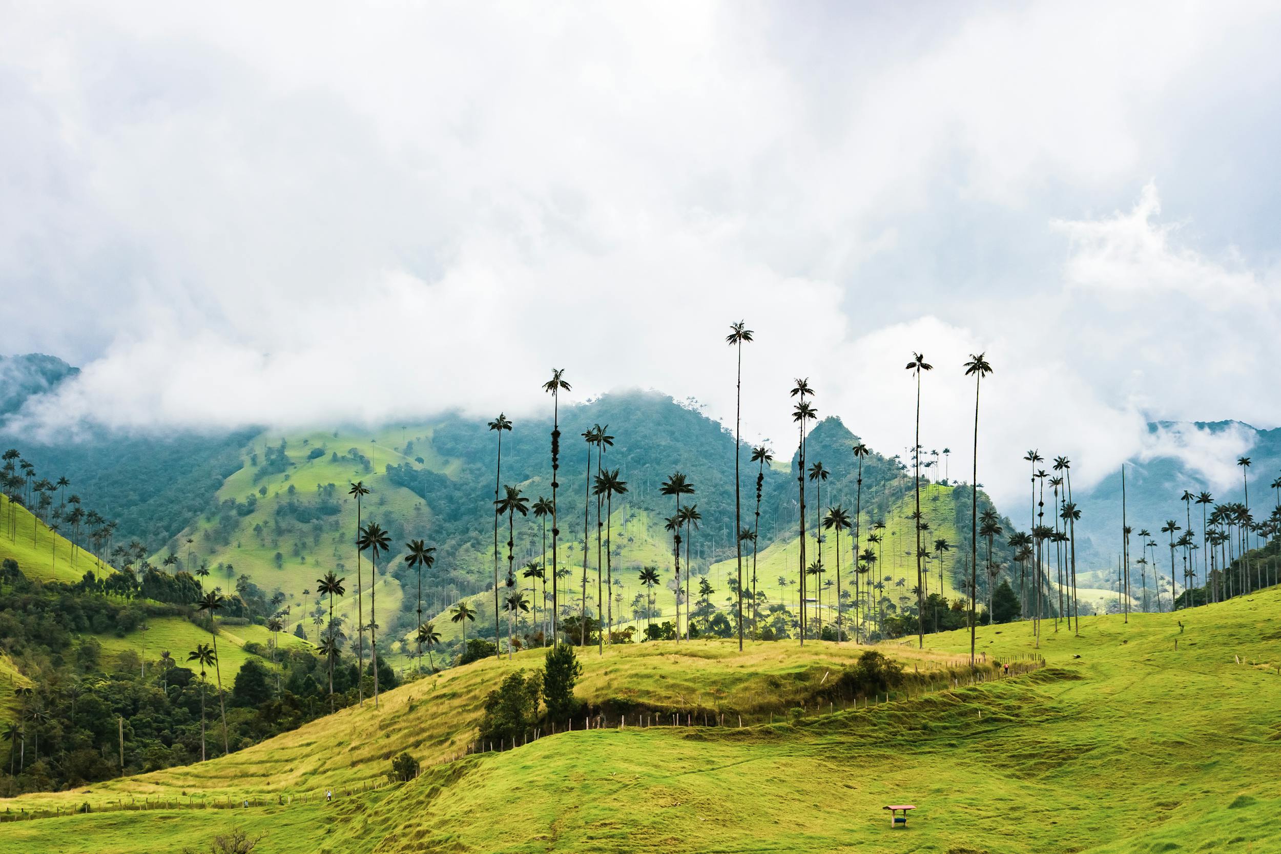 Salento, Colombia