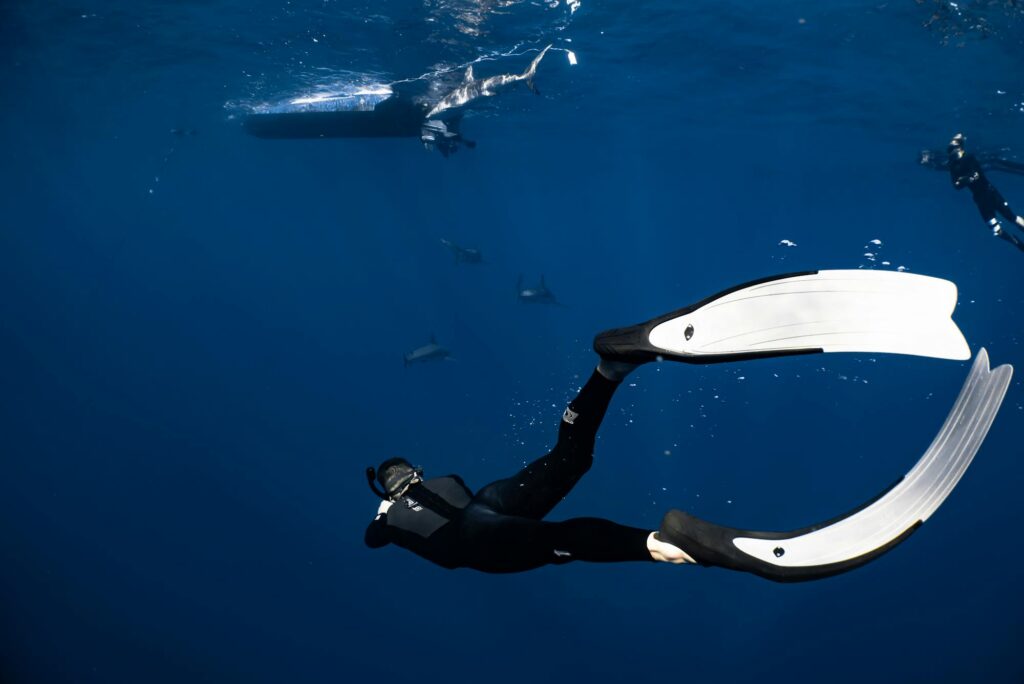 The 10 Best Destinations for Scuba Diving